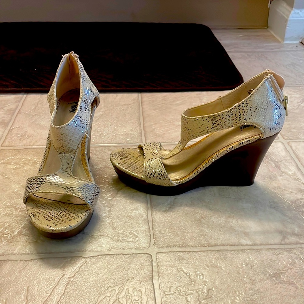 Scale Wedges